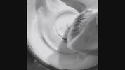 Vegan Shaving Soap - Pine Tar